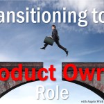 Transitioning to a Product Owner Role