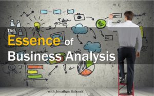 The Essence of Business Analysis