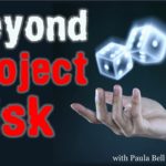 Beyond Project Risk