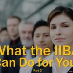 What the IIBA Can Do for You!