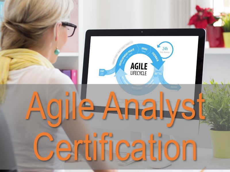 IIBA Agile Analysis Certification