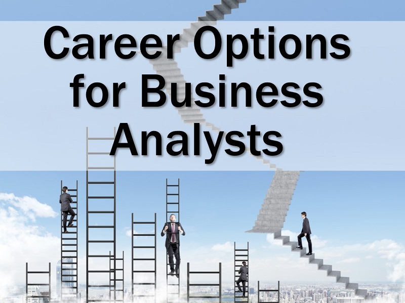 Career Options for Business Analysts