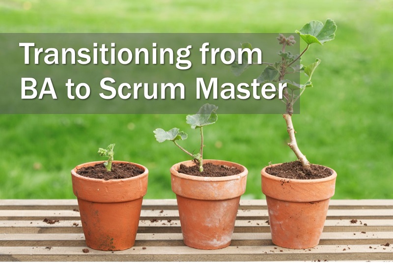 Transitioning from Business Analyst to Scrum Master